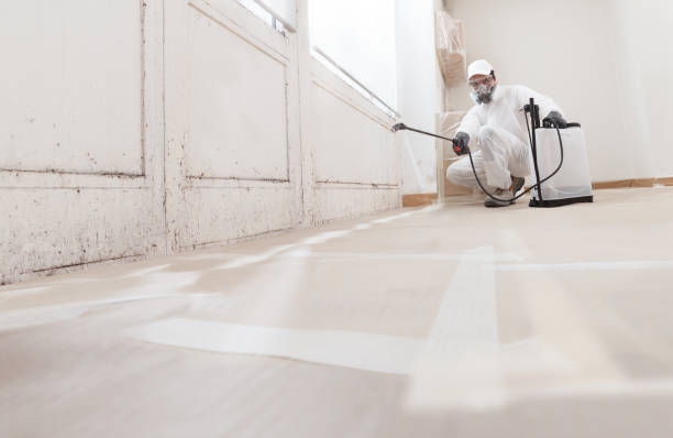 24/7 Emergency Black Mold Removal experts in Bailey, NC