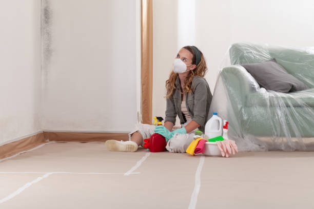 Reliable Black Mold Removal contractor in Bailey, NC by WQB Mold Removal